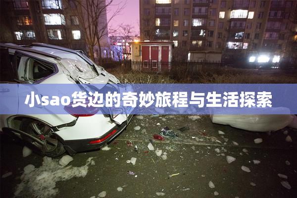 小sao货边的奇妙旅程与生活探索