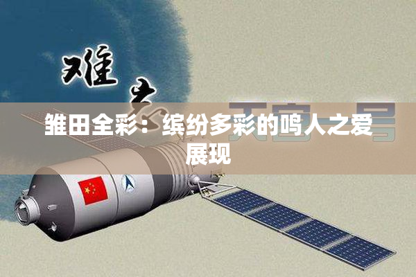 雏田全彩：缤纷多彩的鸣人之爱展现