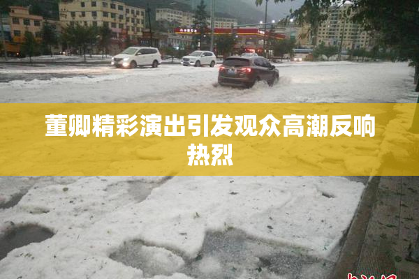董卿精彩演出引发观众高潮反响热烈