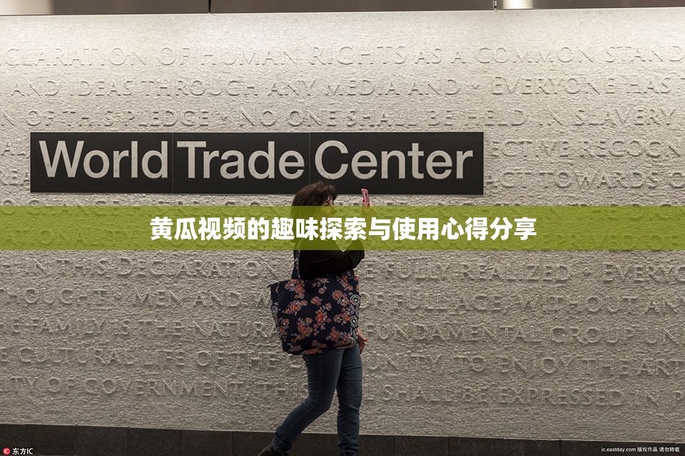黄瓜视频的趣味探索与使用心得分享