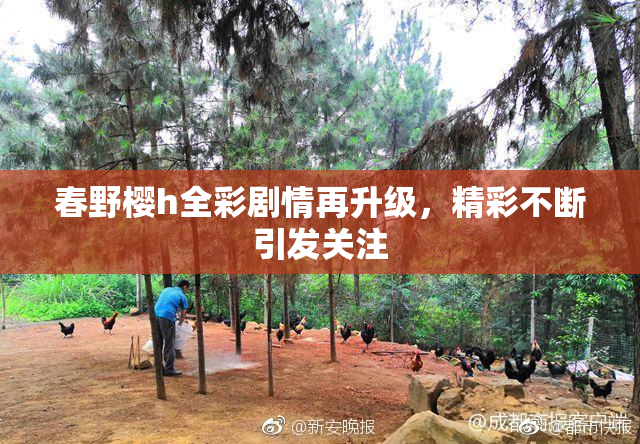 春野樱h全彩剧情再升级，精彩不断引发关注
