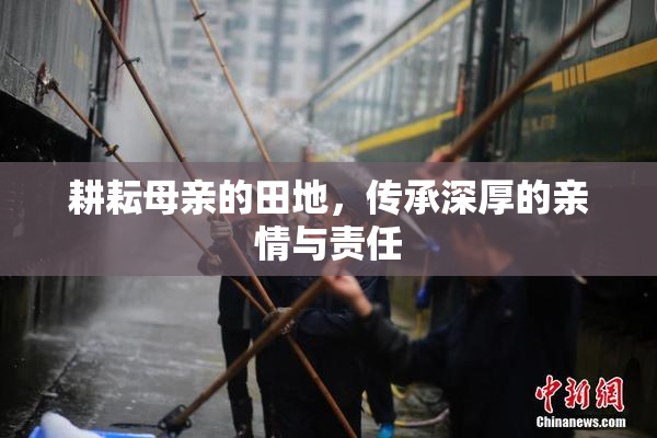 耕耘母亲的田地，传承深厚的亲情与责任