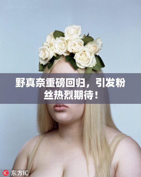 野真奈重磅回归，引发粉丝热烈期待！
