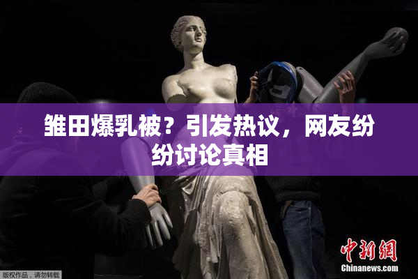 雏田爆乳被？引发热议，网友纷纷讨论真相