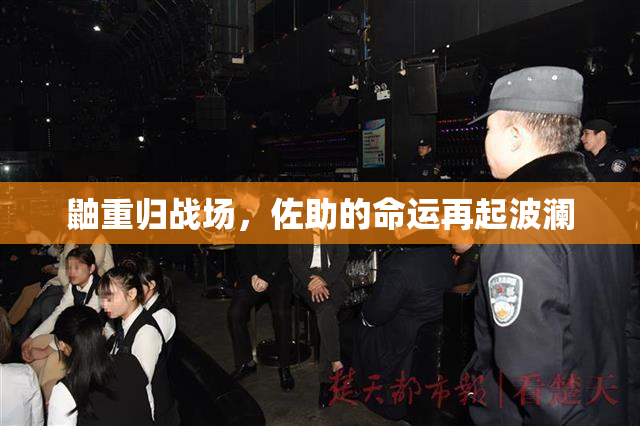 鼬重归战场，佐助的命运再起波澜