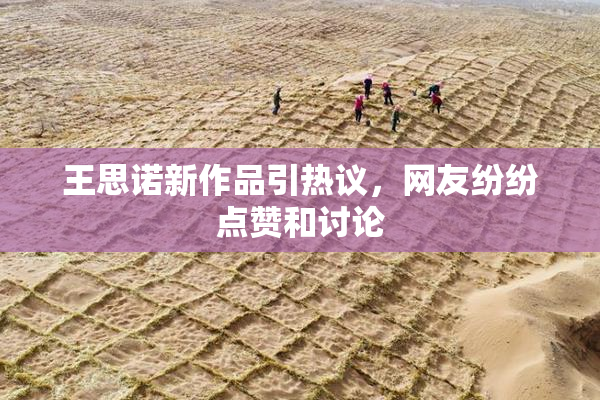 王思诺新作品引热议，网友纷纷点赞和讨论