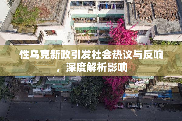 性乌克新政引发社会热议与反响，深度解析影响