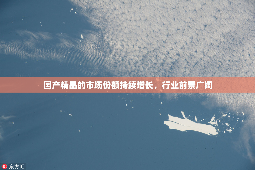 国产精品的市场份额持续增长，行业前景广阔