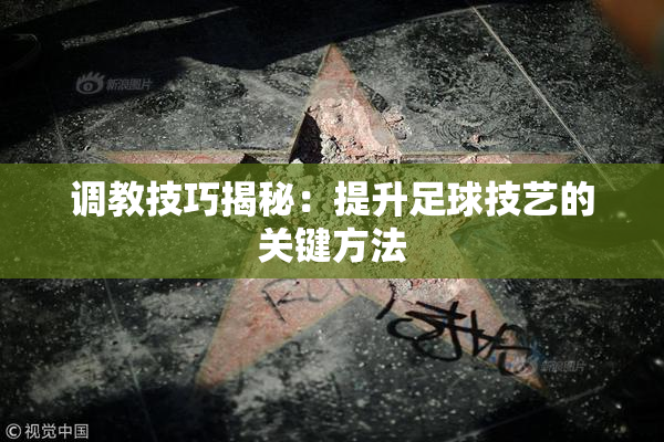 调教技巧揭秘：提升足球技艺的关键方法