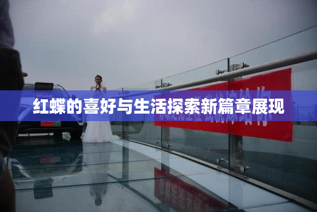 红蝶的喜好与生活探索新篇章展现