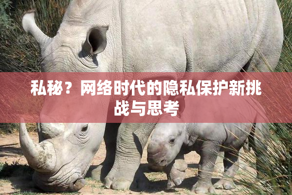 私秘？网络时代的隐私保护新挑战与思考