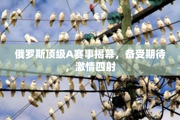 俄罗斯顶级A赛事揭幕，备受期待，激情四射