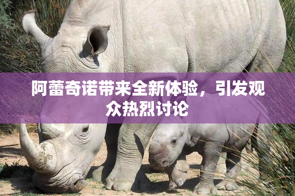 阿蕾奇诺带来全新体验，引发观众热烈讨论