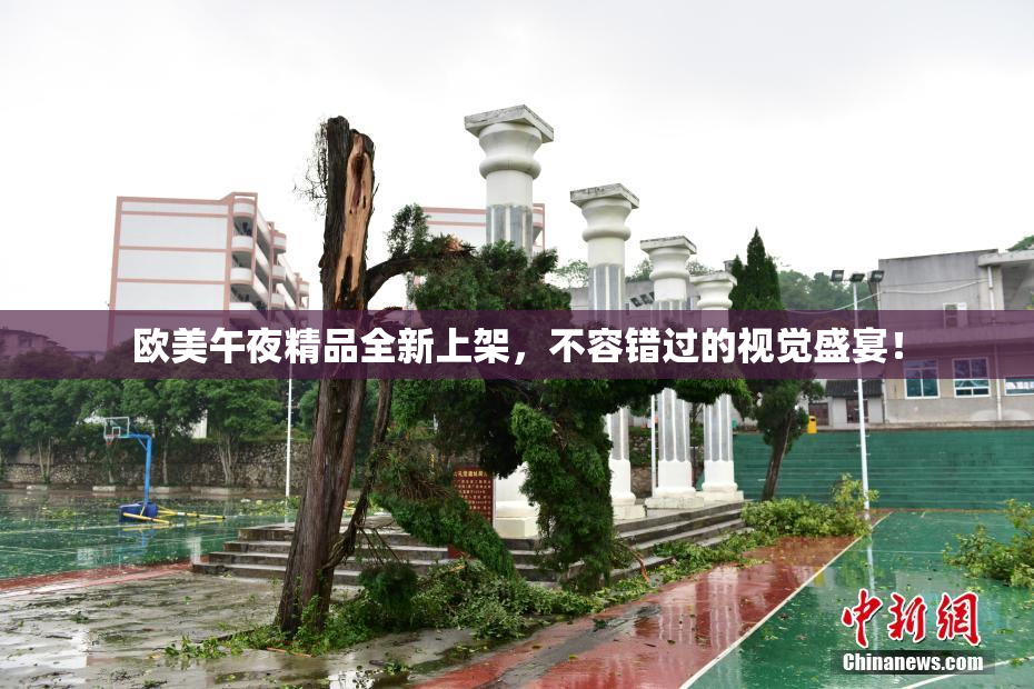 欧美午夜精品全新上架，不容错过的视觉盛宴！