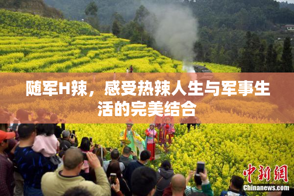 随军H辣，感受热辣人生与军事生活的完美结合