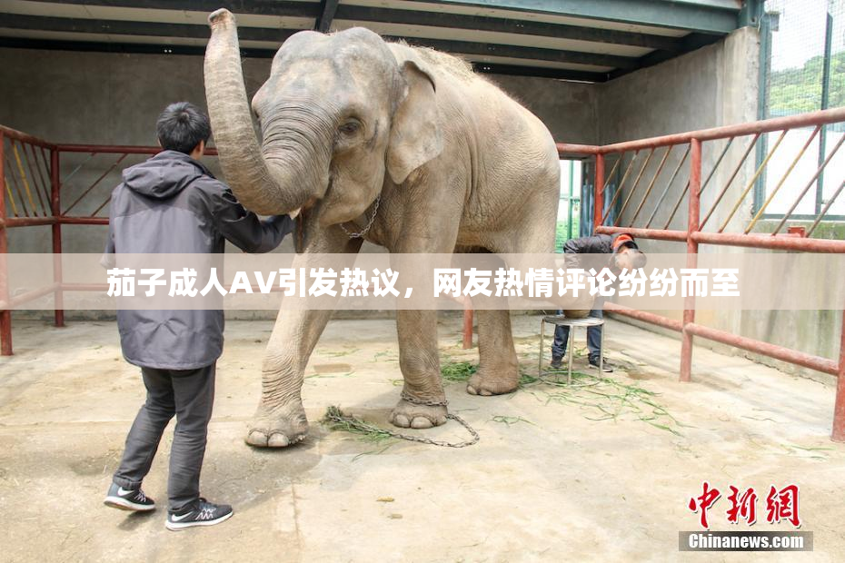 茄子成人AV引发热议，网友热情评论纷纷而至