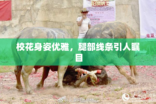 校花身姿优雅，腿部线条引人瞩目