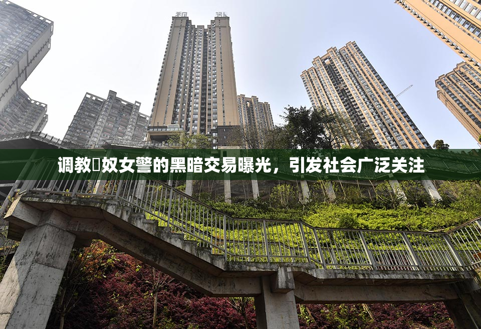 调教婬奴女警的黑暗交易曝光，引发社会广泛关注