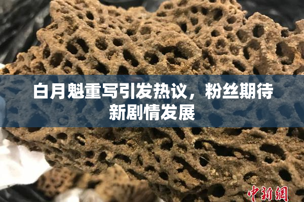 白月魁重写引发热议，粉丝期待新剧情发展