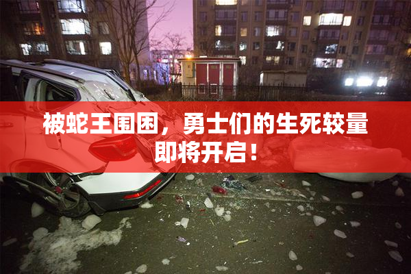 被蛇王围困，勇士们的生死较量即将开启！