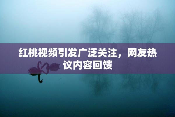 红桃视频引发广泛关注，网友热议内容回馈