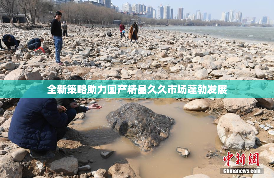 全新策略助力国产精品久久市场蓬勃发展
