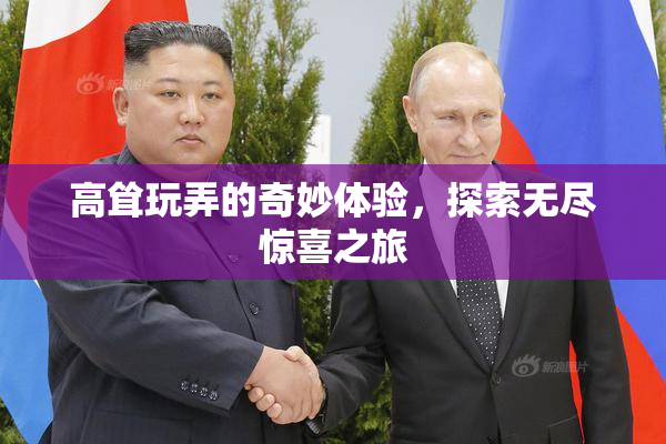 高耸玩弄的奇妙体验，探索无尽惊喜之旅