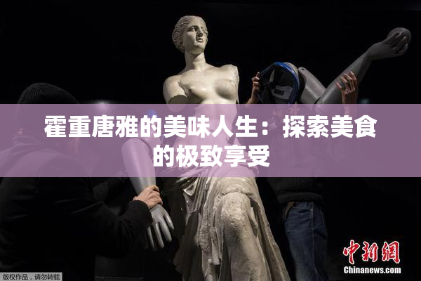 霍重唐雅的美味人生：探索美食的极致享受