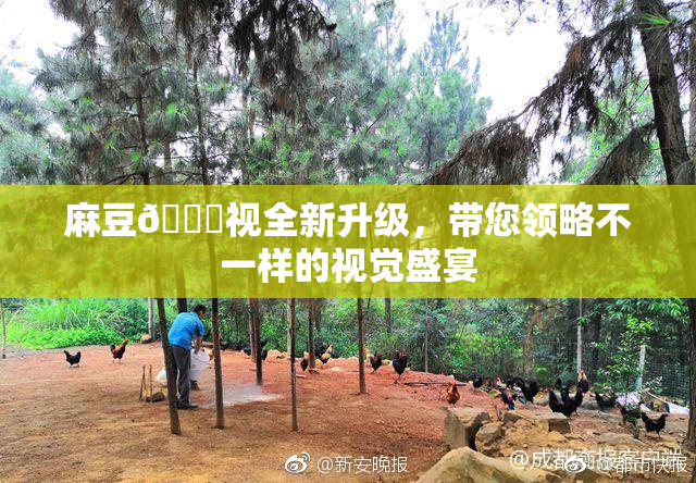 麻豆🔞视全新升级，带您领略不一样的视觉盛宴