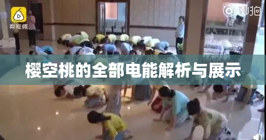 樱空桃的全部电能解析与展示