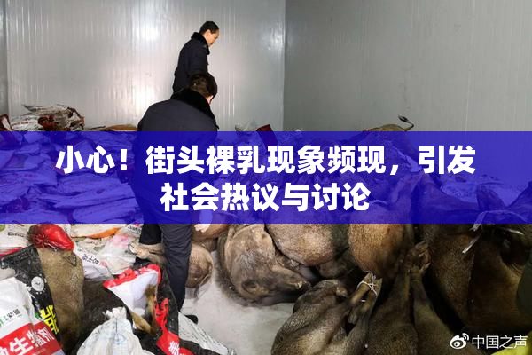 小心！街头裸乳现象频现，引发社会热议与讨论