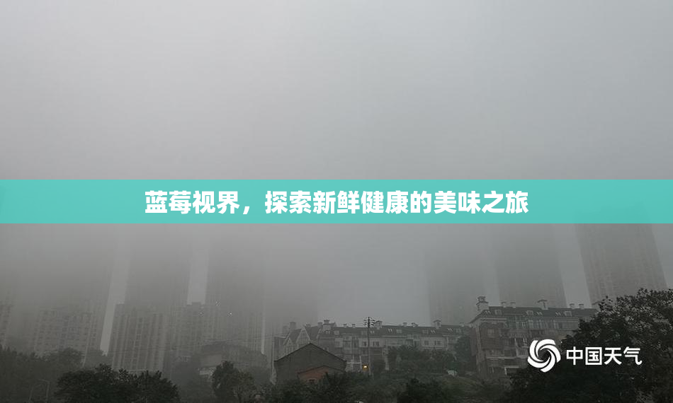 蓝莓视界，探索新鲜健康的美味之旅