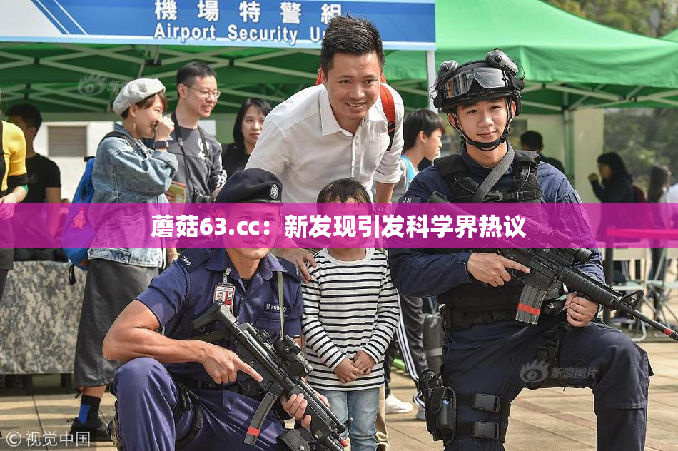 蘑菇63.㏄：新发现引发科学界热议