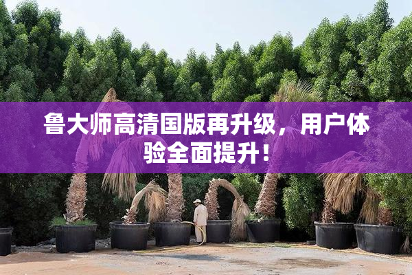 鲁大师高清国版再升级，用户体验全面提升！