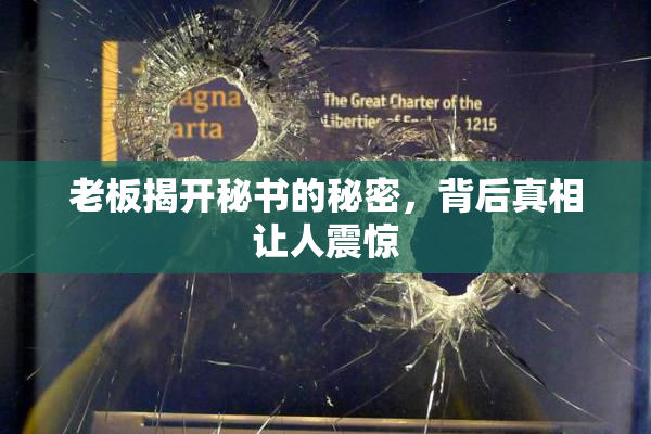 老板揭开秘书的秘密，背后真相让人震惊
