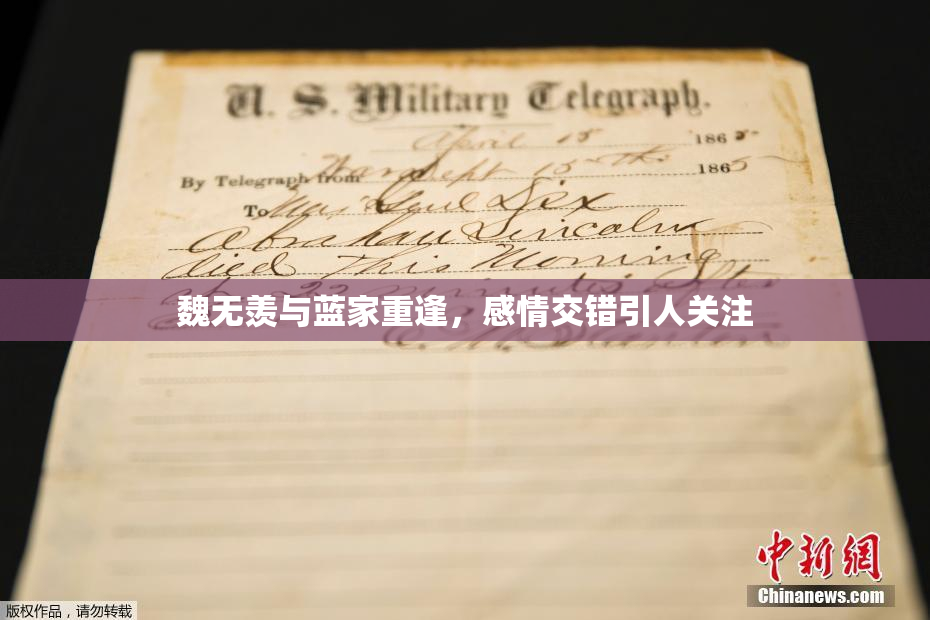 魏无羡与蓝家重逢，感情交错引人关注