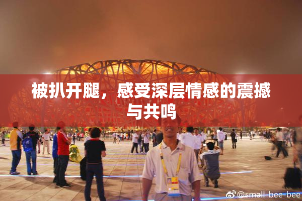 被扒开腿，感受深层情感的震撼与共鸣