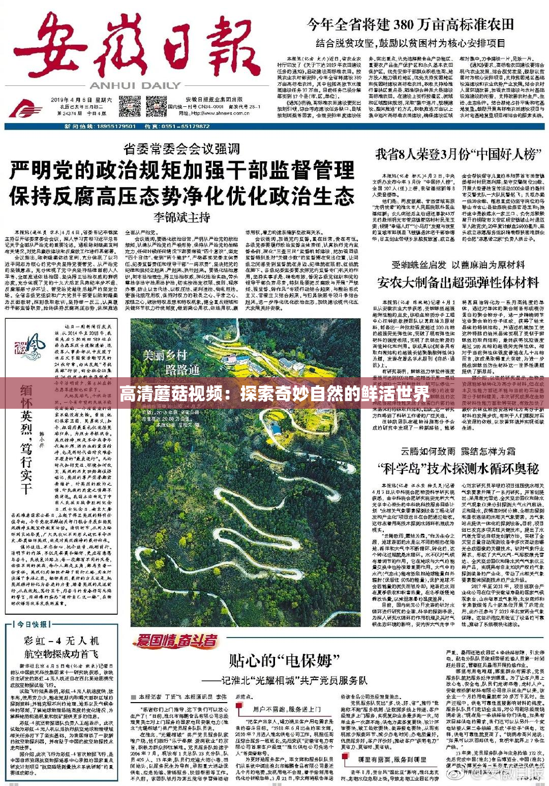 高清蘑菇视频：探索奇妙自然的鲜活世界