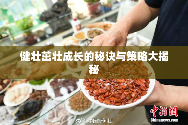 健壮茁壮成长的秘诀与策略大揭秘
