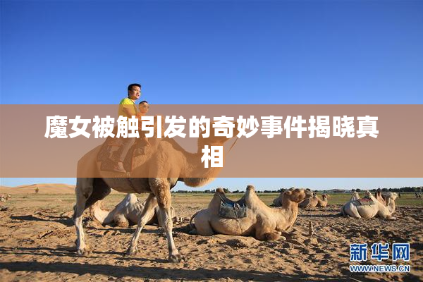 魔女被触引发的奇妙事件揭晓真相