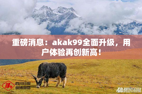 重磅消息：akak99全面升级，用户体验再创新高！