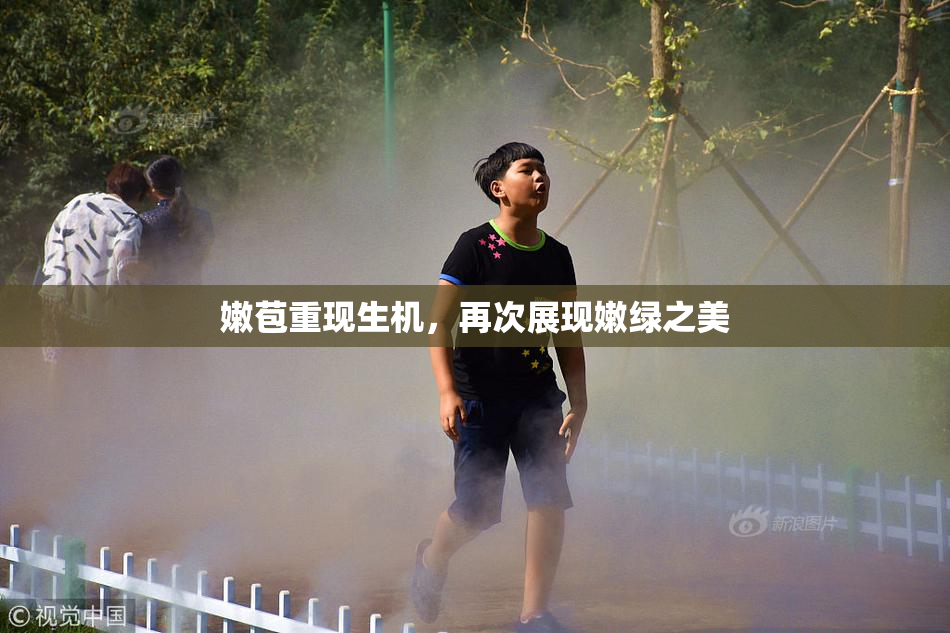 嫩苞重现生机，再次展现嫩绿之美