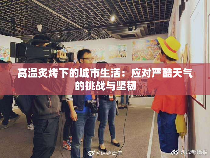 高温炙烤下的城市生活：应对严酷天气的挑战与坚韧