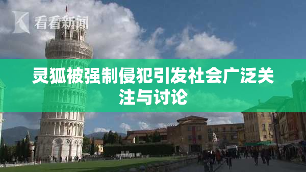 灵狐被强制侵犯引发社会广泛关注与讨论