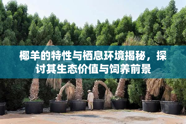 椰羊的特性与栖息环境揭秘，探讨其生态价值与饲养前景