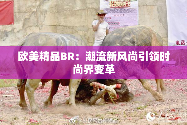 欧美精品BR：潮流新风尚引领时尚界变革