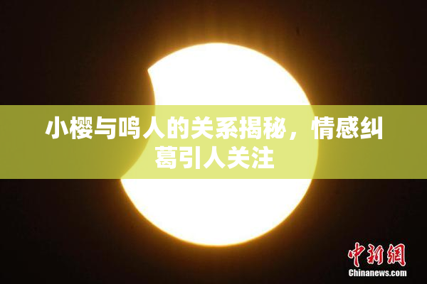 小樱与鸣人的关系揭秘，情感纠葛引人关注