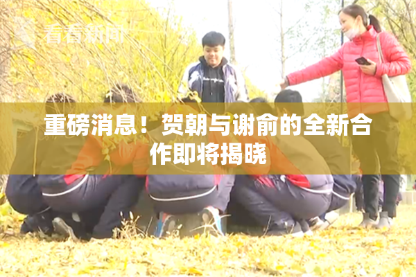 重磅消息！贺朝与谢俞的全新合作即将揭晓