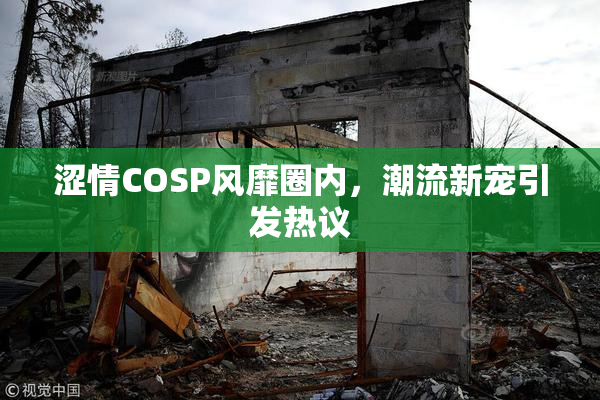涩情COSP风靡圈内，潮流新宠引发热议