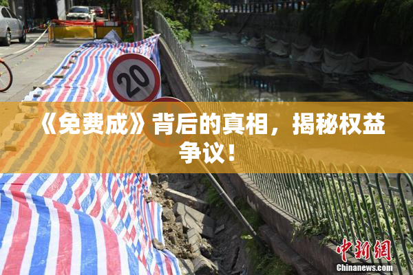 《免费成》背后的真相，揭秘权益争议！